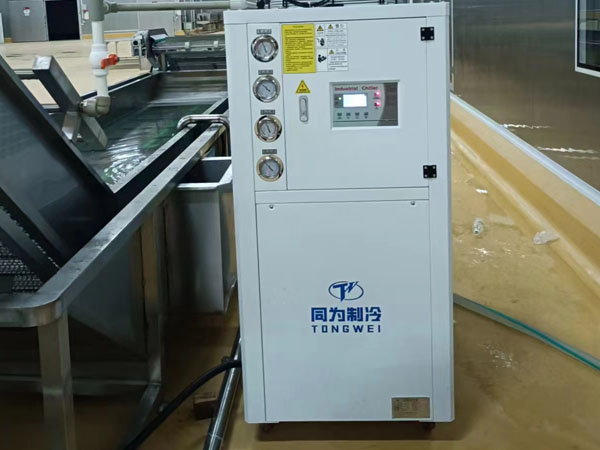 Tongwei Installer med succes 10 ton industriel luftkølet køler i kundefødevarefabrik